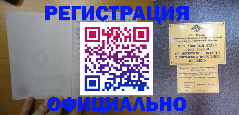 прописка поиск в Кольчугино